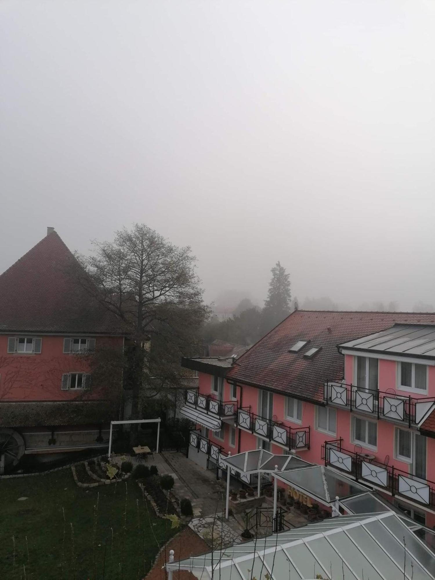 Hotel Hofmann Zur Muehle Bad Krozingen Dış mekan fotoğraf