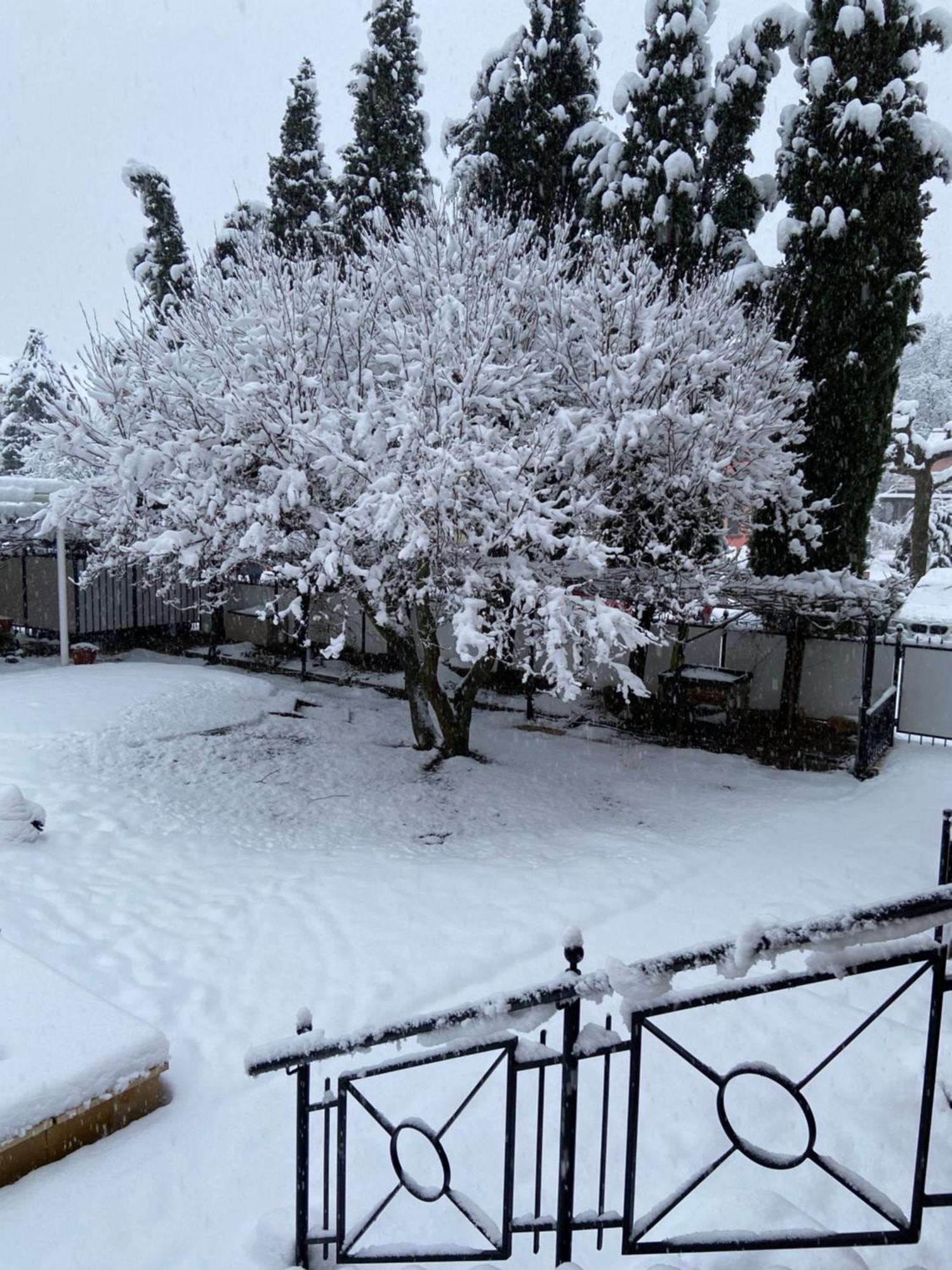Hotel Hofmann Zur Muehle Bad Krozingen Dış mekan fotoğraf
