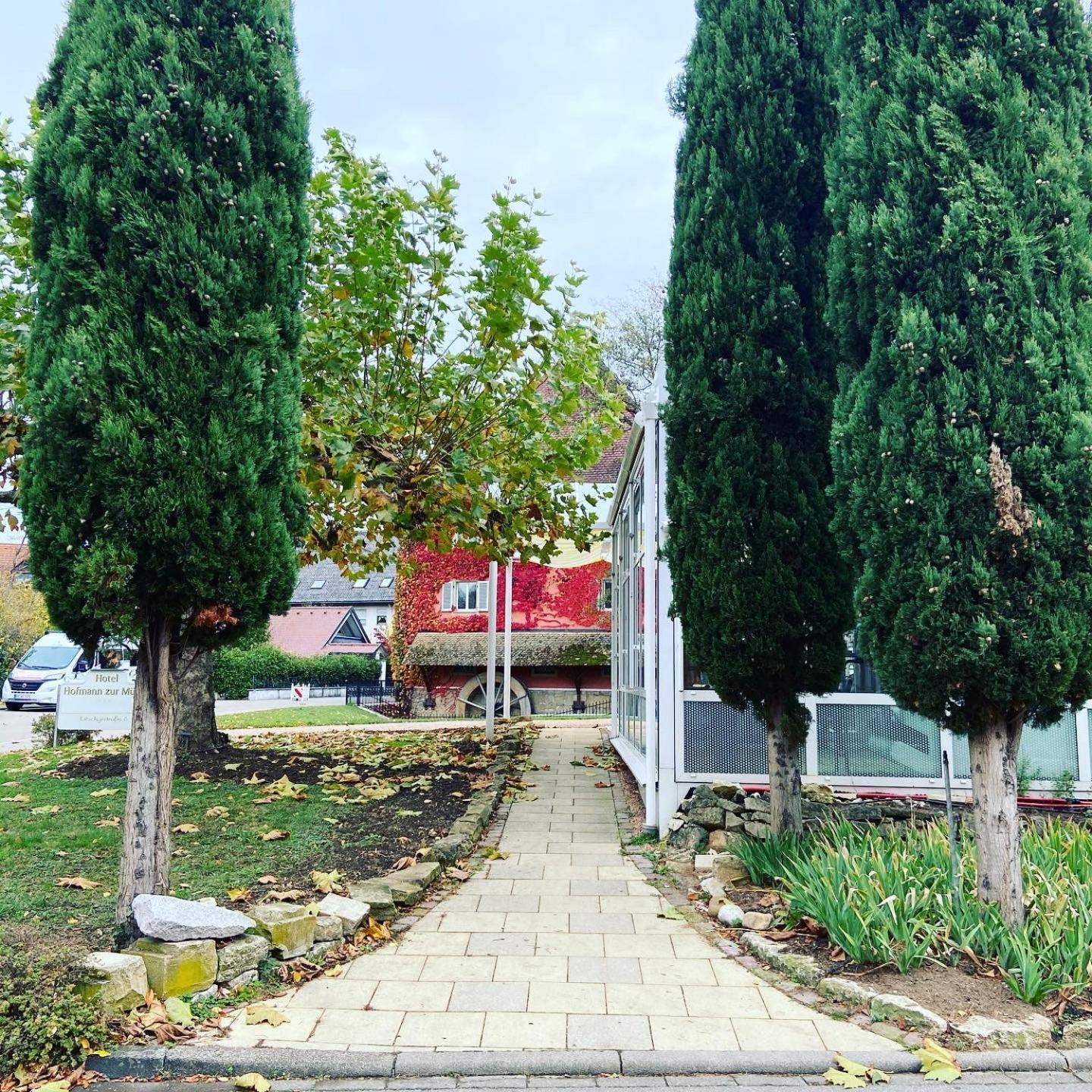Hotel Hofmann Zur Muehle Bad Krozingen Dış mekan fotoğraf