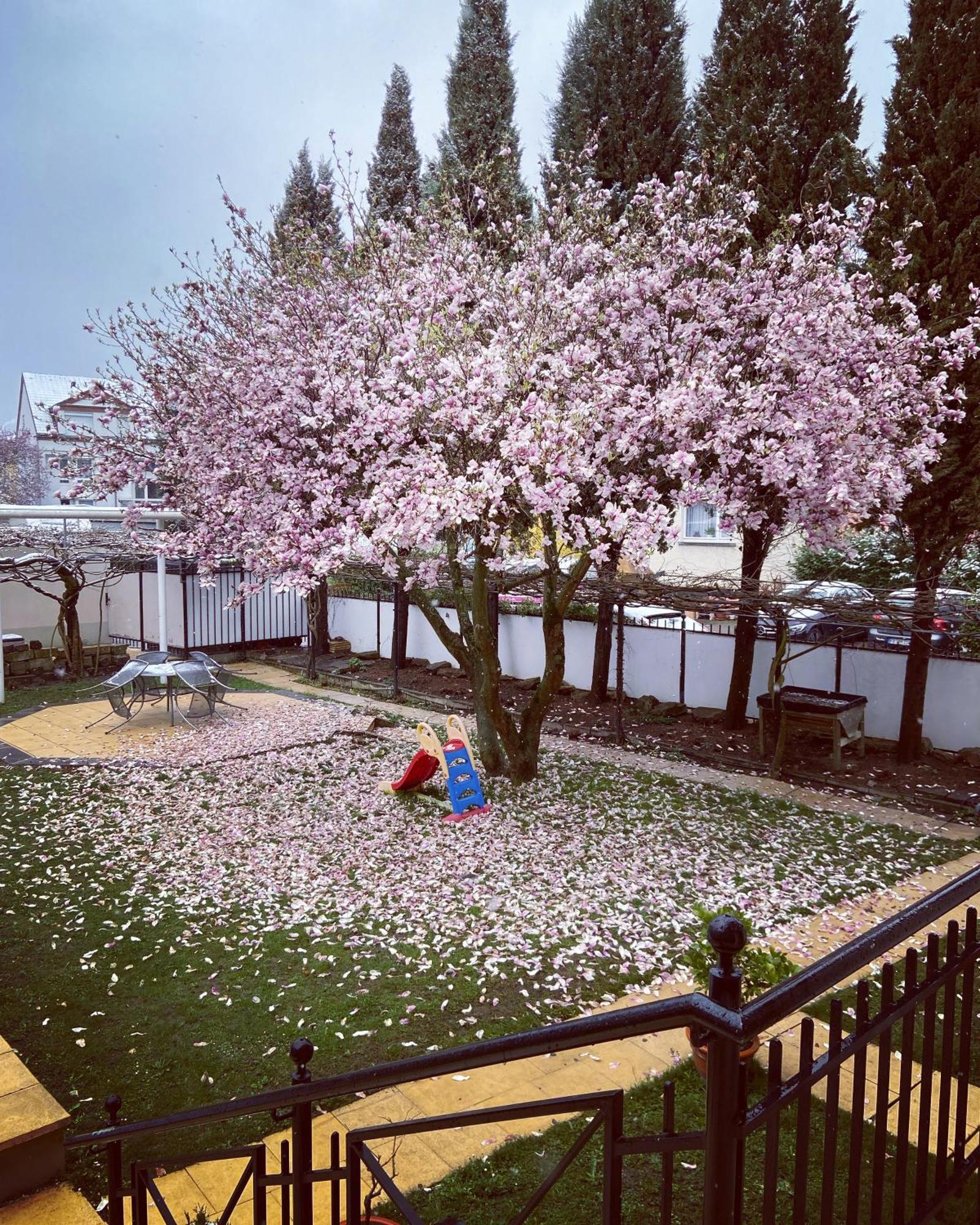 Hotel Hofmann Zur Muehle Bad Krozingen Dış mekan fotoğraf