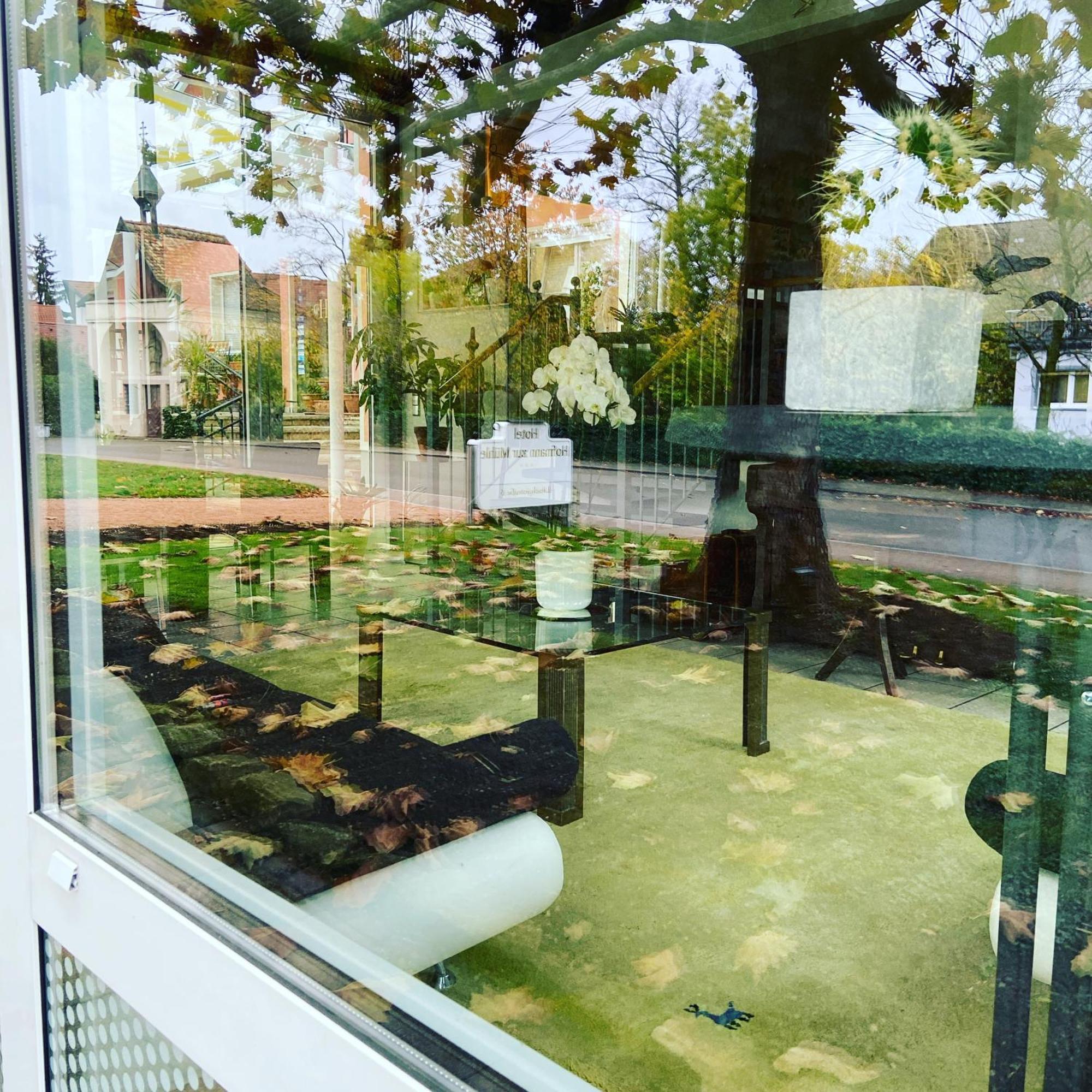 Hotel Hofmann Zur Muehle Bad Krozingen Dış mekan fotoğraf